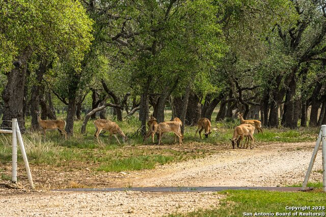 Image 38 of 39 For 1379 Baker-rogers Road