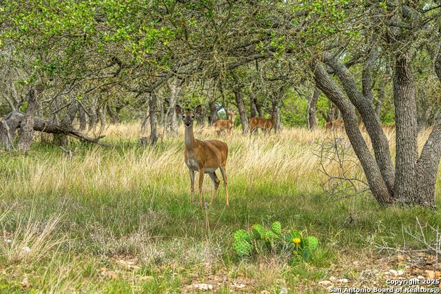 Image 5 of 39 For 1379 Baker-rogers Road