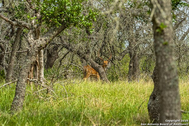 Image 7 of 39 For 1379 Baker-rogers Road