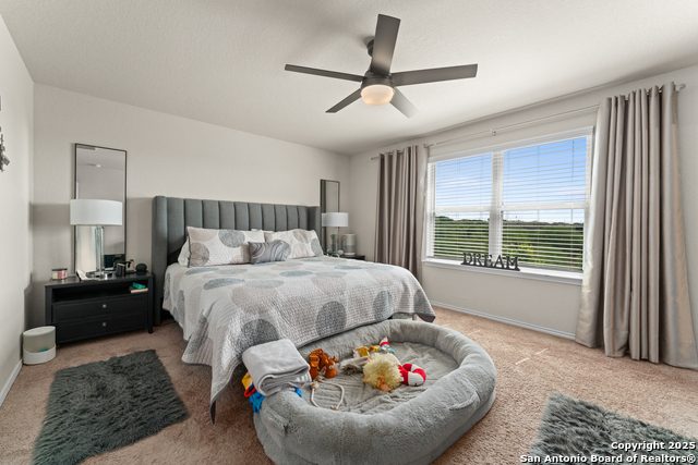 Image 14 of 30 For 10114 Tierra Roja