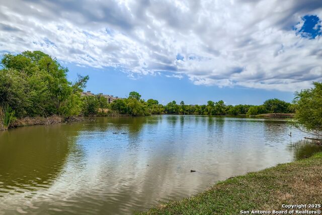 Image 28 of 28 For 9035 Gull