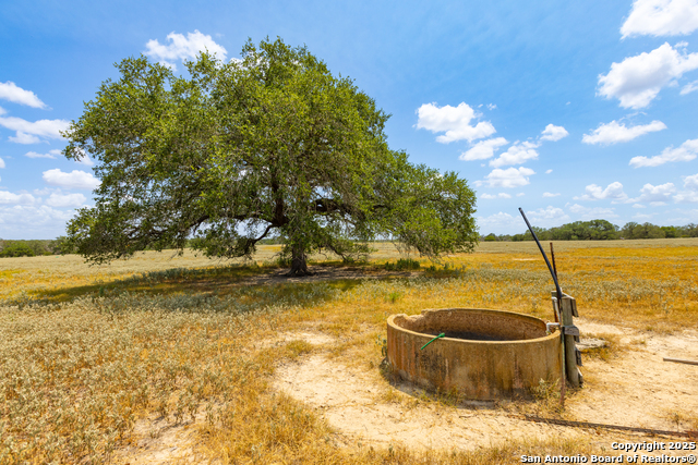 Image 10 of 41 For 2774 County Road 320