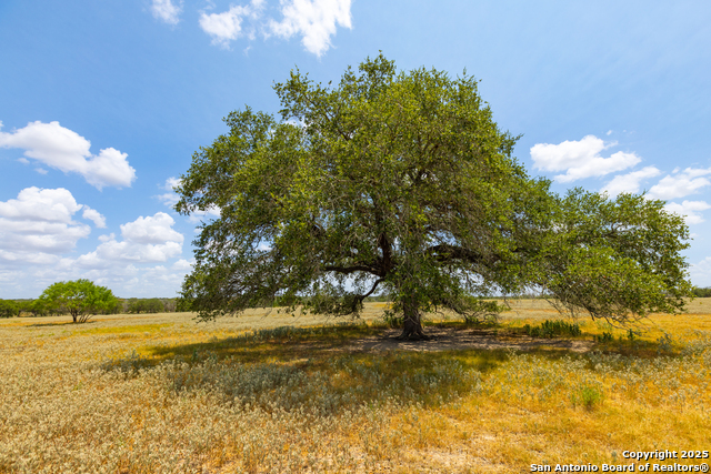 Image 11 of 41 For 2774 County Road 320