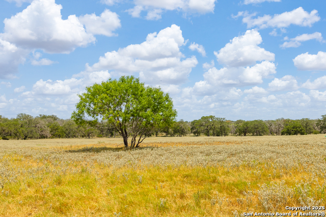 Image 13 of 41 For 2774 County Road 320