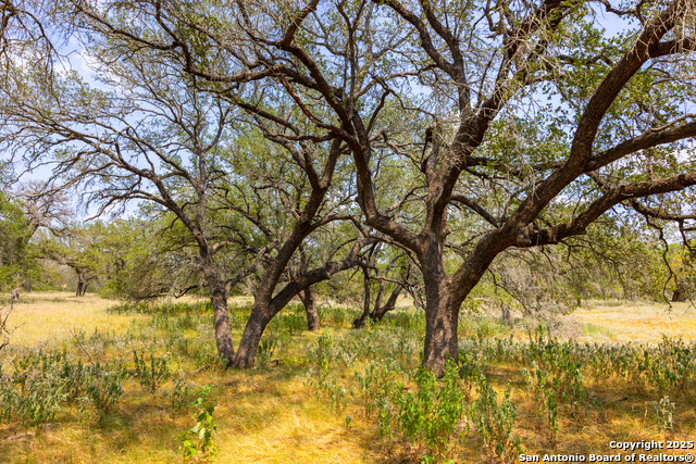 Image 14 of 41 For 2774 County Road 320