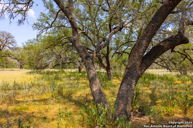 Image 15 of 41 For 2774 County Road 320