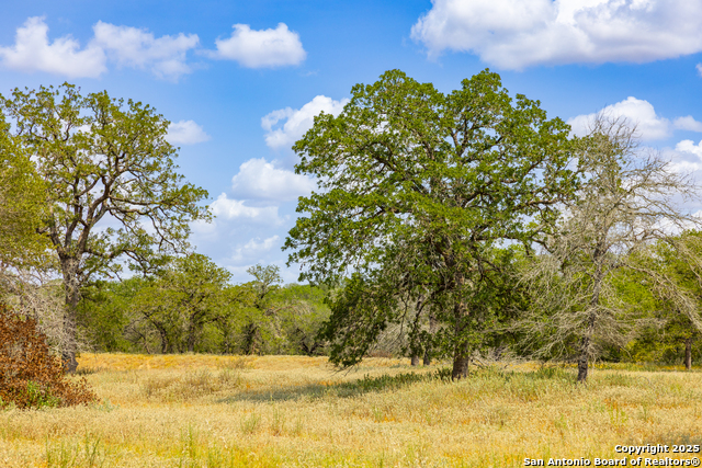 Image 16 of 41 For 2774 County Road 320