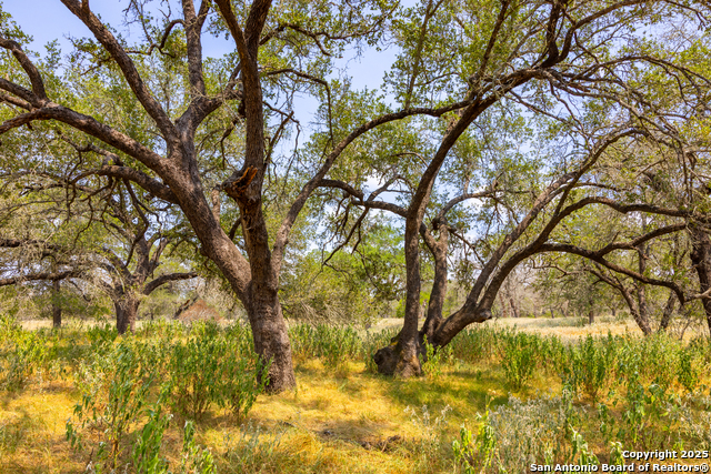 Image 17 of 41 For 2774 County Road 320