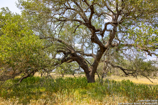 Image 18 of 41 For 2774 County Road 320