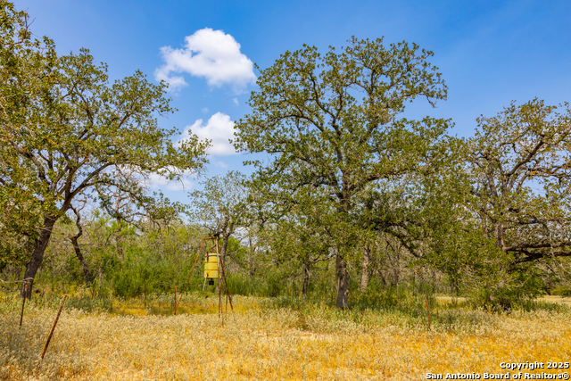 Image 19 of 41 For 2774 County Road 320
