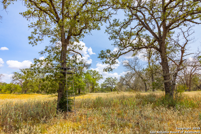 Image 21 of 41 For 2774 County Road 320