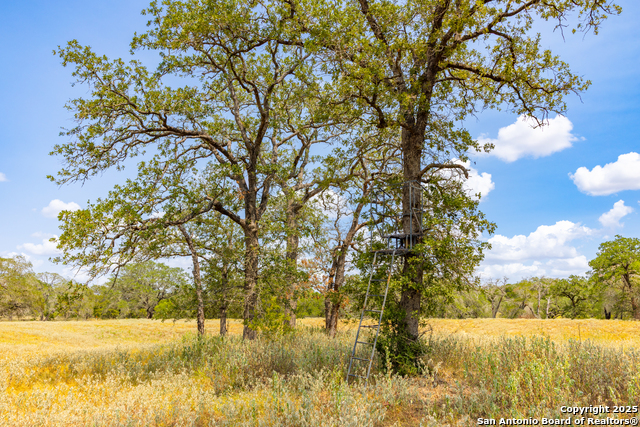 Image 23 of 41 For 2774 County Road 320