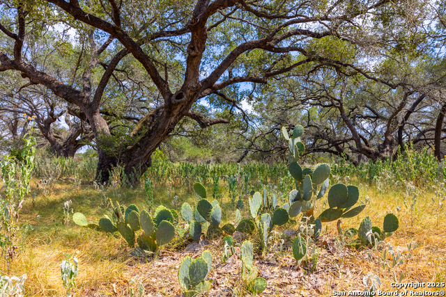 Image 24 of 41 For 2774 County Road 320
