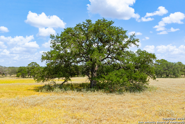 Image 26 of 41 For 2774 County Road 320