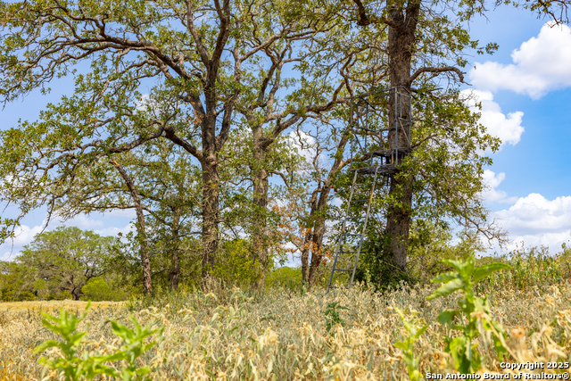Image 27 of 41 For 2774 County Road 320