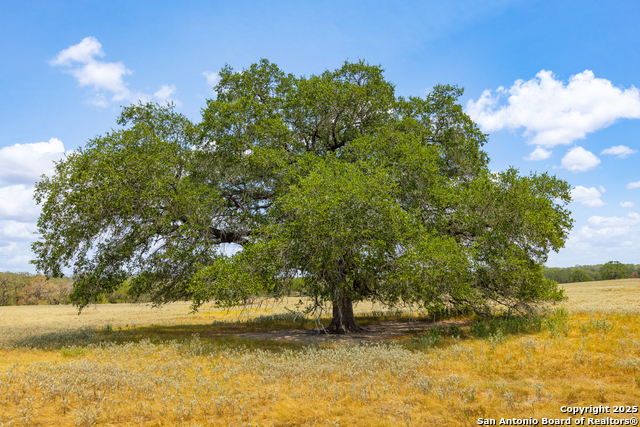 Image 4 of 41 For 2774 County Road 320