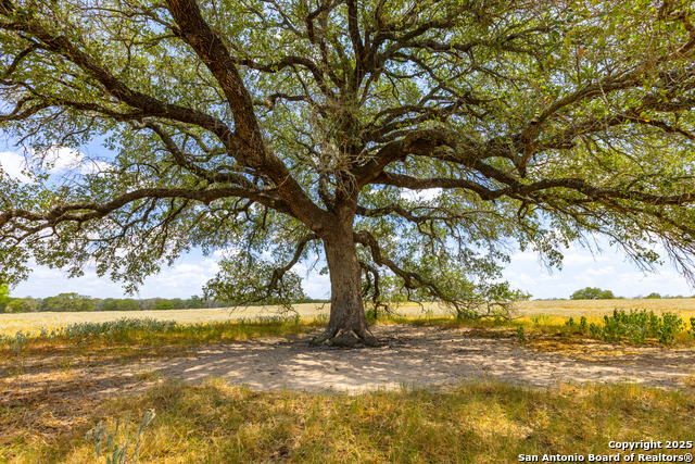 Image 9 of 41 For 2774 County Road 320