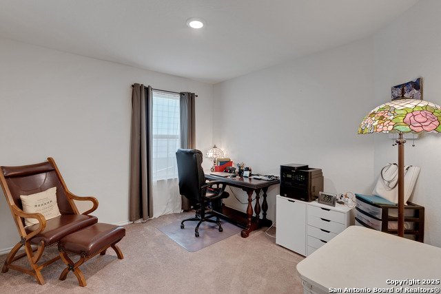 Image 22 of 27 For 747 Steeplebush