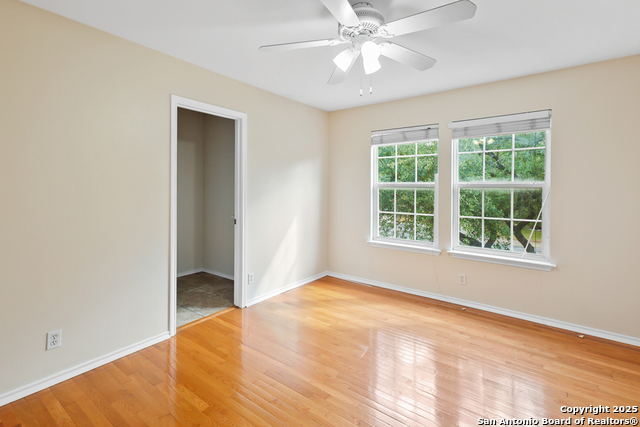 Image 20 of 32 For 23623 Persian Hollow