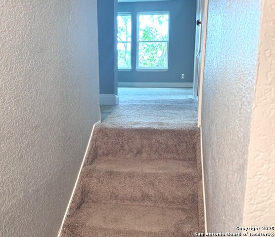 Image 18 of 31 For 2215 Saint Anthony