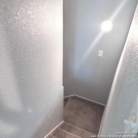 Image 19 of 31 For 2215 Saint Anthony