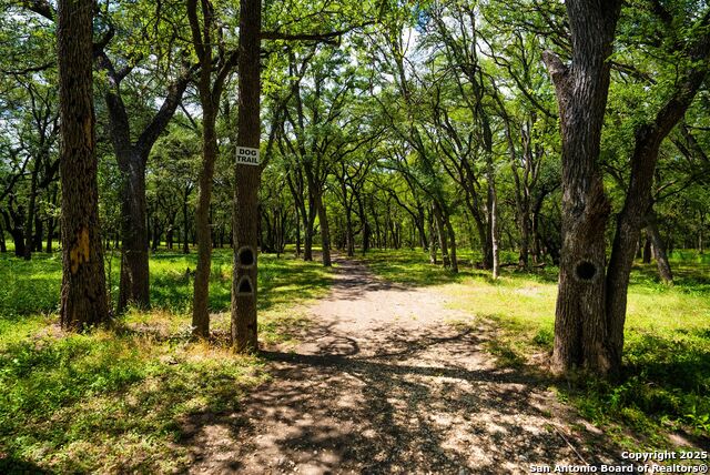 Image 35 of 36 For 205 Doral