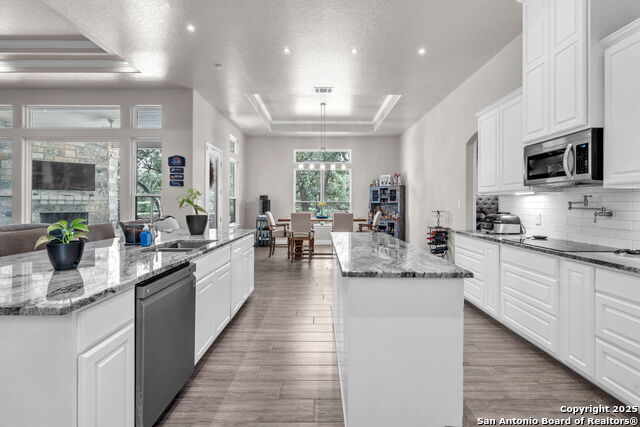 Image 11 of 43 For 221 Cibolo Ridge Dr