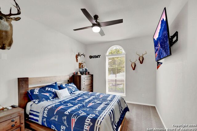 Image 24 of 42 For 12650 Dragonfly