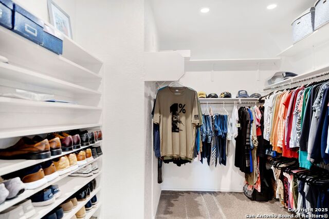 Image 31 of 42 For 12650 Dragonfly