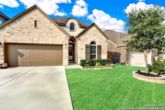 Image 39 of 42 For 12650 Dragonfly