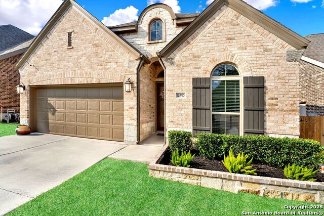 Image 40 of 42 For 12650 Dragonfly