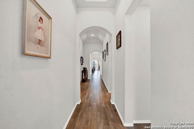 Image 6 of 42 For 12650 Dragonfly