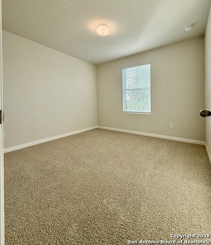 Listing photo id 31 for 1021 Adler Way