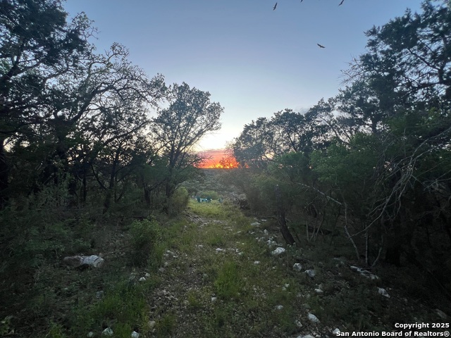 Image 39 of 40 For 342 County Road 368