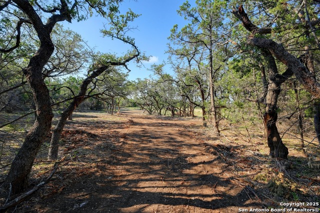 Image 6 of 12 For Tract 1 Pierson Road