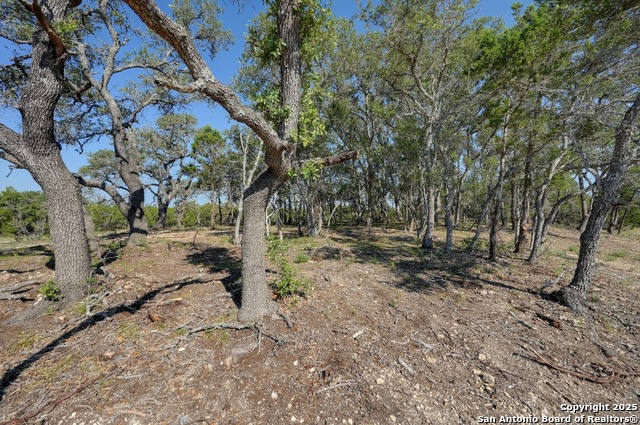 Image 11 of 13 For Tract 3 Pierson Road