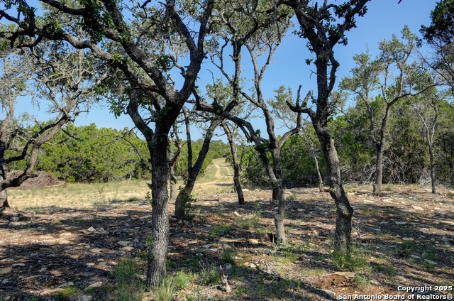 Image 5 of 13 For Tract 3 Pierson Road