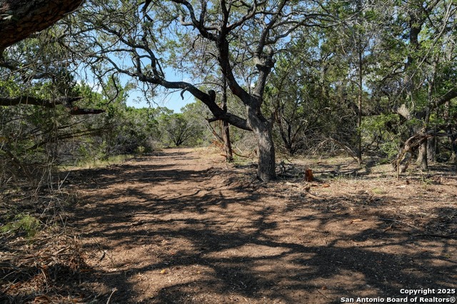 Image 9 of 13 For Tract 3 Pierson Road