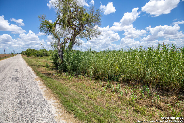 Listing photo id 11 for 000 County Road 647