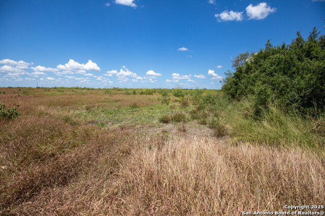 Listing photo id 12 for 000 County Road 647