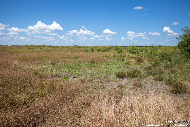 Listing photo id 13 for 000 County Road 647