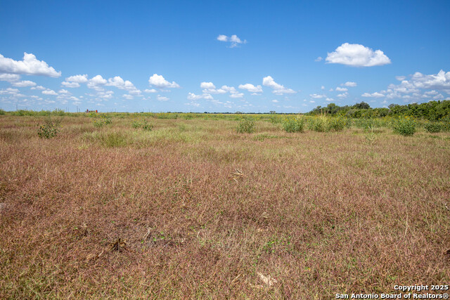 Listing photo id 14 for 000 County Road 647