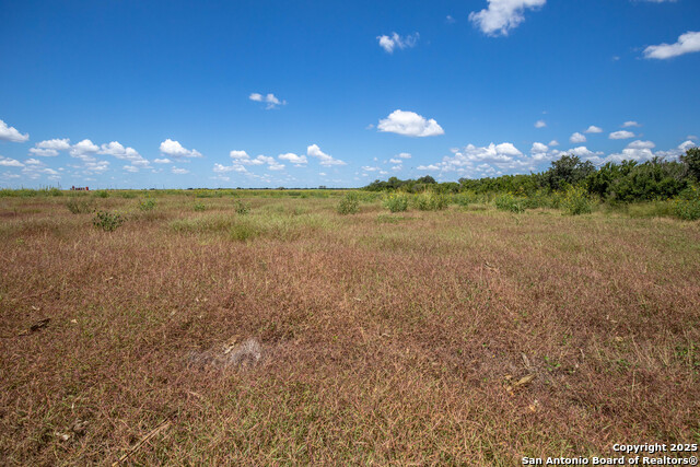 Listing photo id 15 for 000 County Road 647