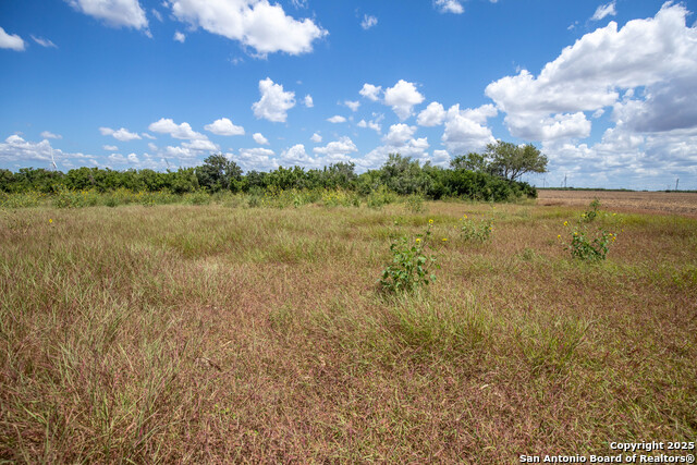 Listing photo id 16 for 000 County Road 647