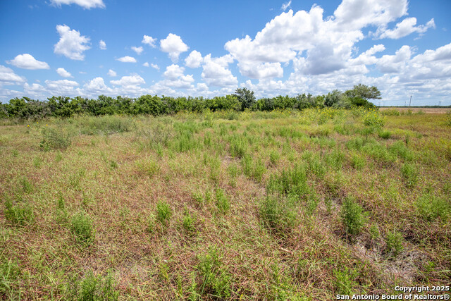 Listing photo id 17 for 000 County Road 647