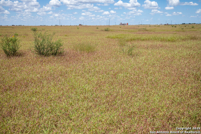 Listing photo id 22 for 000 County Road 647