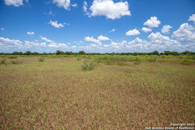 Listing photo id 23 for 000 County Road 647