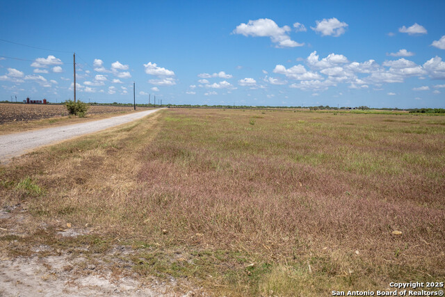 Listing photo id 28 for 000 County Road 647