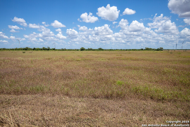 Listing photo id 29 for 000 County Road 647