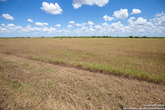 Listing photo id 32 for 000 County Road 647